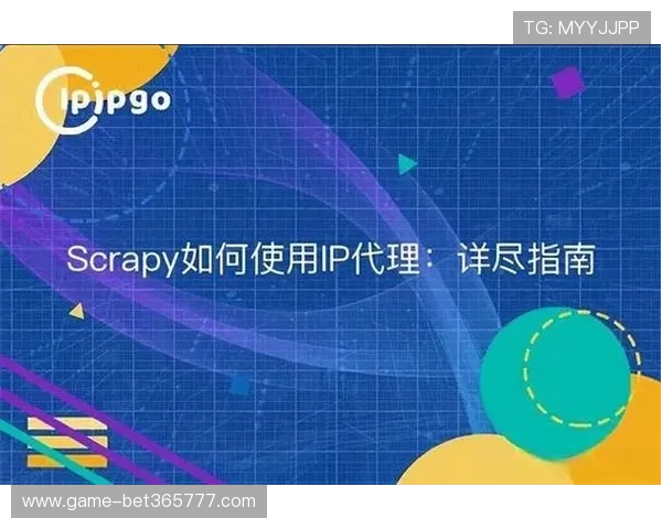 365bet手机登录遇到问题如何解决，常见故障排查指南让你快速恢复正常使用